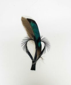 Hank | Hat Feather