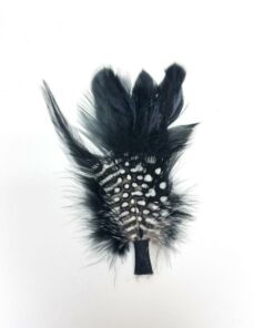 Swift | Hat Feather
